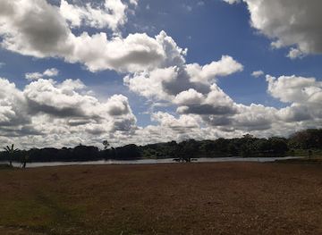 indonesia/west-papua/attraction/april-salome-forest-management-area