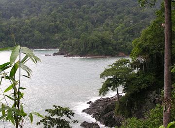 indonesia/java/attraction/sukamade-beach