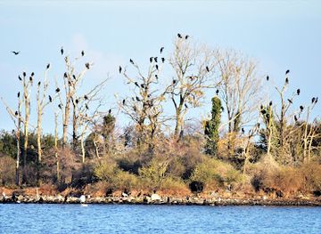 denmark/lolland-falster/attraction/bandholm-strand