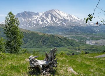 Mt St Helens