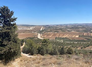 israel/negev/attraction/ha-elah-desert-tours