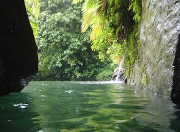 dominica/indian-river/attraction/cobra-tours-yacht-services