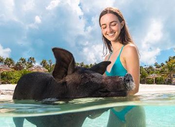 the-bahamas/nassau/attraction/sandy-toes-bahamas