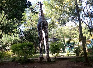 kenya/kitui-plains/attraction/kitui-public-park