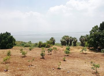 israel/jezreel-valley/attraction/church-of-the-primacy-of-saint-peter