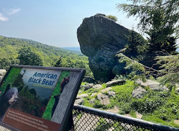 north-carolina/grandfather-mountain/attraction/wilson-center-for-nature-discovery
