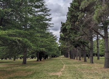 australia/canberra/braddon/attraction/haig-park