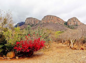 south-africa/lowveld/attraction/kampersrus
