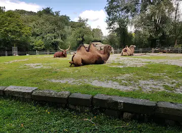 Aachener Tierpark Euregiozoo