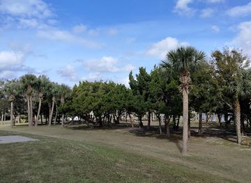 florida/daytona-beach/attraction/manatee-island