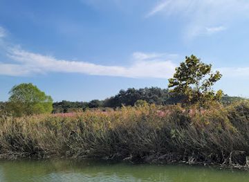 south-korea/yeongnam-region/attraction/julpo-bay-tidal-flat-ecological-park