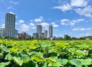 japan/tokyo/attraction/shinobazu-pond