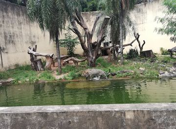 Zoológico Municipal Noel Kempff Mercado