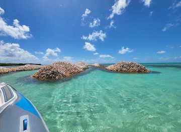 british-virgin-islands/jost-van-dyke-beaches/attraction/conch-island