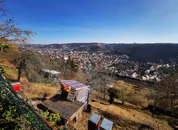 Ruine des Hasenbergturms