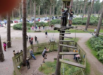 united-kingdom/staffordshire/attraction/go-ape-cannock