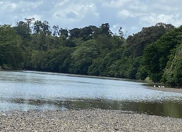 costa-rica/san-carlos/attraction/mirador-rio-san-carlos