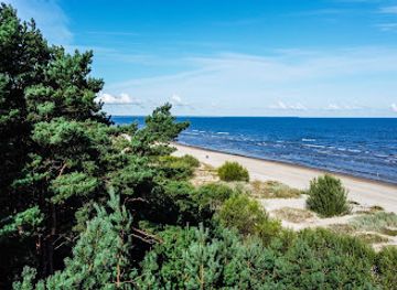 latvia/jurmala/attraction/pine-trees-of-rainis