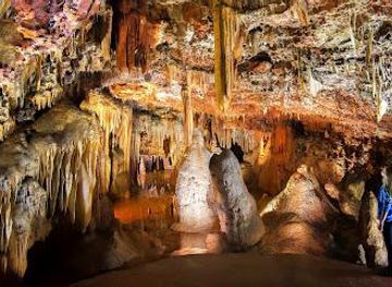 slovenia/izola/attraction/jama-grotta-baredine
