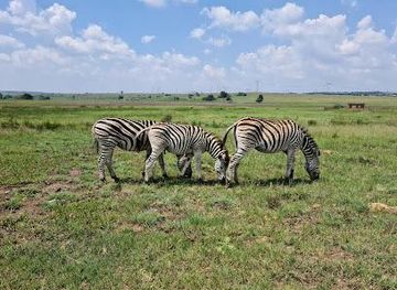 south-africa/johannesburg/attraction/rietvlei-nature-reserve