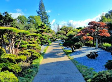 california/san-francisco-peninsula/attraction/japanese-gardens