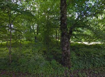 estonia/rapla/attraction/ohekatku-laululava