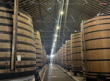 portugal/braga/attraction/magic-tourism