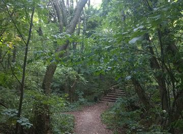 bulgaria/golden-sands/attraction/dendrological-route-to-aladzha-monastery
