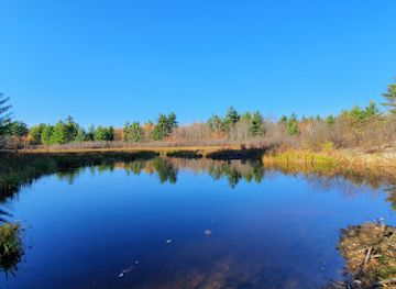 canada/ottawa-valley/attraction/south-march-highlands-conservation-forest