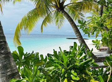 maldives/faafu-atoll/attraction/lily-beach-sajid-d-costa-tourist-information