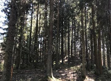 lithuania/zemaitija-national-park/attraction/aboku-piliakalnis