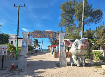 mexico/yucatan-peninsula/attraction/pig-beach