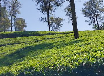 sri-lanka/wilpattu-national-park/attraction/galpattiya-junction