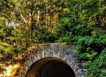 north-carolina/blue-ridge-mountains/attraction/pinnacle-ridge-tunnel