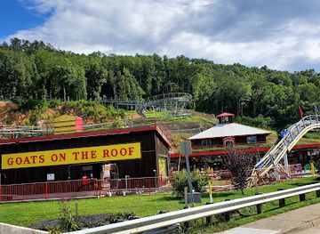 tennessee/cades-cove/attraction/goats-on-the-roof-of-the-smoky-mountains