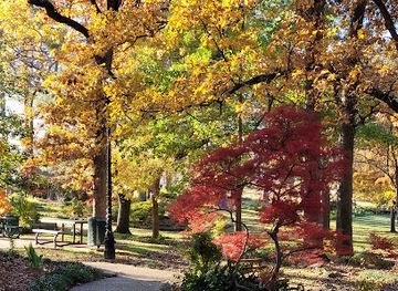 texas/east-texas/attraction/tyler-rose-garden