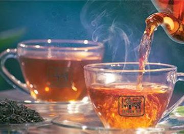 sri-lanka/negombo/attraction/sri-lanka-tea-board