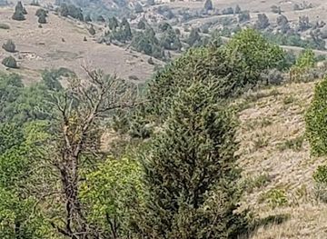 north-dakota/maah-daah-hey-trail/attraction/maah-daah-hey-trail-plumely-draw