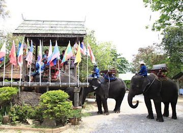 thailand/hua-hin/attraction/elephant-village-hua-hin