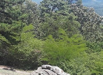 arkansas/arkansas-valley/attraction/hot-springs-mountain-tower