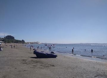 chile/concepcion/attraction/playa-penco
