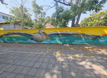 bulgaria/burgas/attraction/birds-wall-art