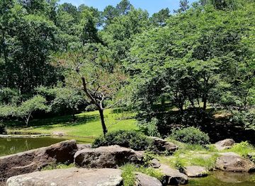 missouri/table-rock-lake/attraction/the-butterfly-palace-rainforest-adventure