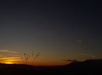 el-salvador/joya-de-ceren-archaeological-site/attraction/los-chintos