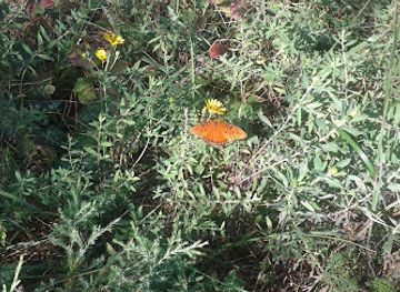 alabama/monte-sano-state-park/attraction/trough-springs-trail