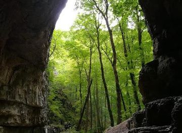 germany/stuttgart/attraction/falkensteiner-cave
