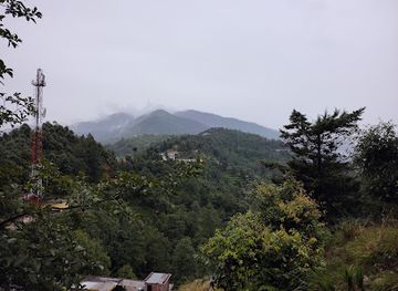 india/chopta/attraction/chirbatiya-trek