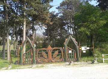 hungary/central-transdanubia/attraction/tamariska-domb-termeszetvedelmi-terulet