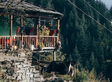 india/manali/vashisht/attraction/small-waterfall-vashisht