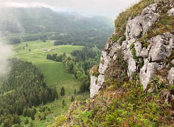 austria/kalkalpen-national-park/attraction/trampl-gipfel